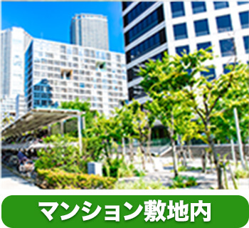 マンション敷地内