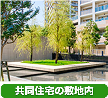 共同住宅の敷地内