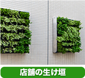 店舗の生け垣