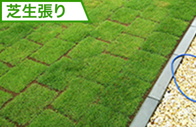 芝生貼り