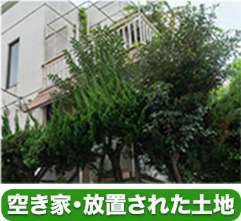 空き家や放置された土地