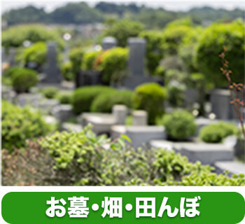 お墓、畑、田んぼ