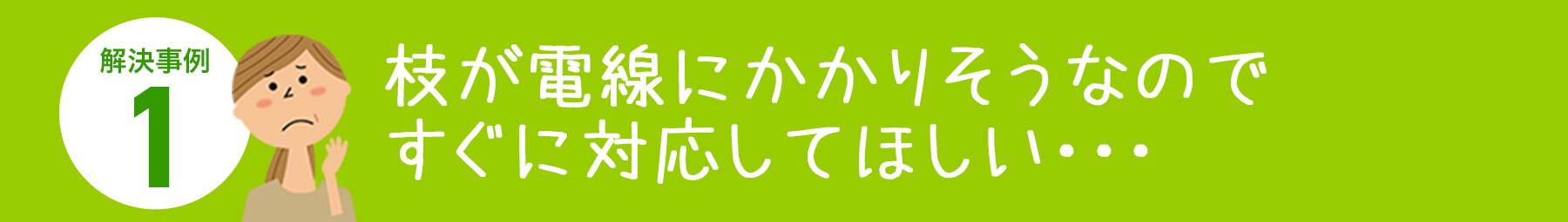 枝が電線にかかりそうなのですぐに対応してほしい。